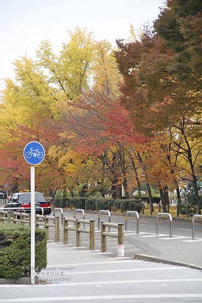 02-京都 東本願寺  027