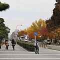 02-京都 東本願寺  032