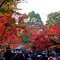 06-京都 金閣寺  027