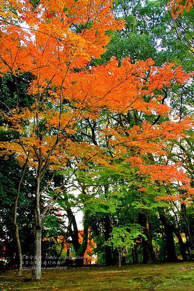 06-京都 金閣寺  037