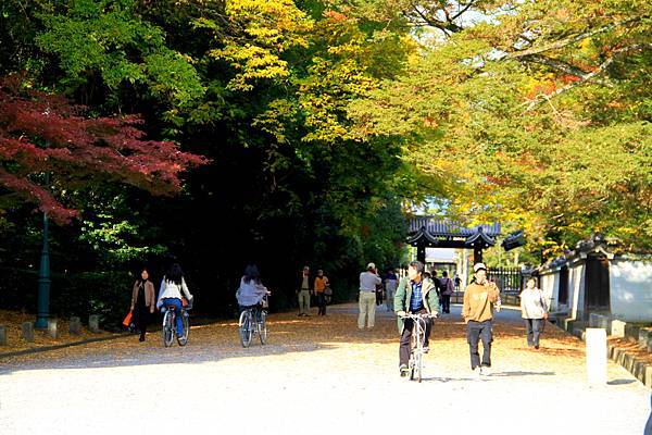 05-京都 京都御所  171