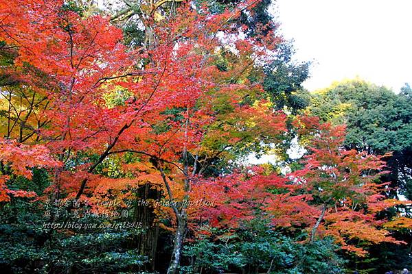 06-京都 金閣寺  042