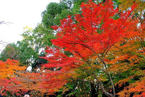 06-京都 金閣寺  046