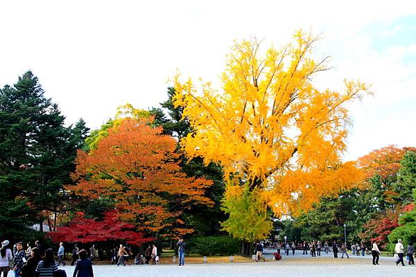 05-京都 京都御所  184