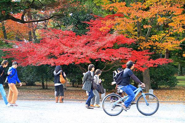 05-京都 京都御所  186