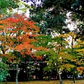 06-京都 金閣寺  056