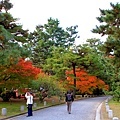 05-京都 京都御所  209