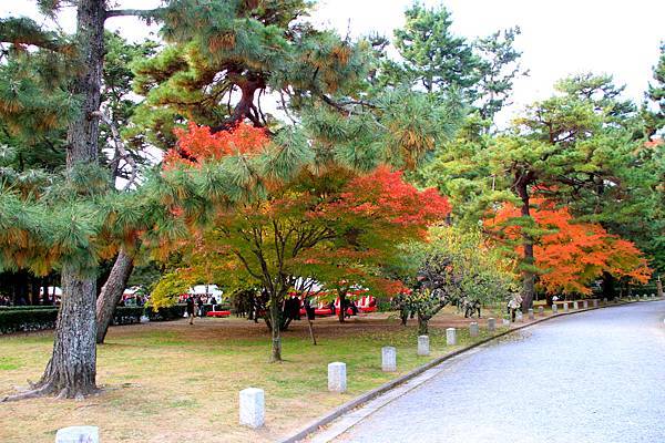 05-京都 京都御所  212