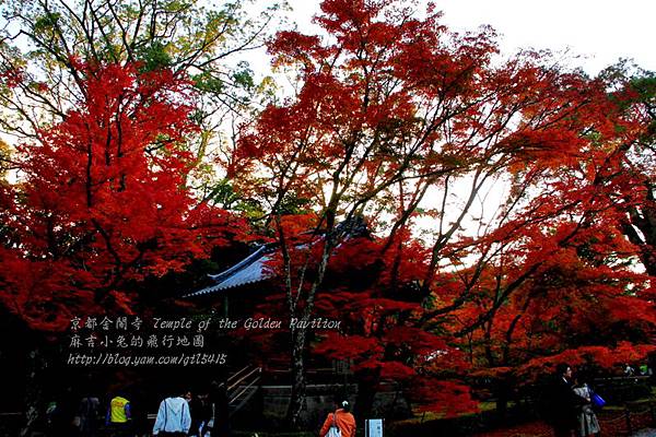 06-京都 金閣寺  111