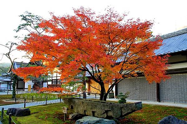 06-京都 金閣寺  112