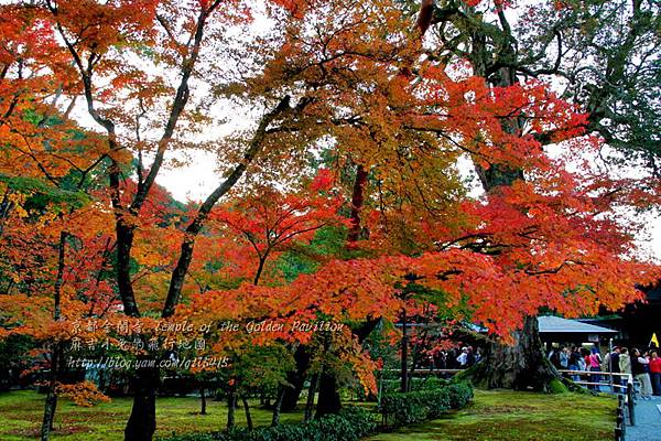 06-京都 金閣寺  120