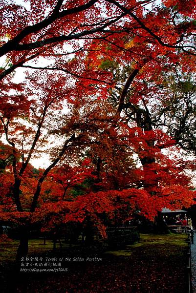 06-京都 金閣寺  121