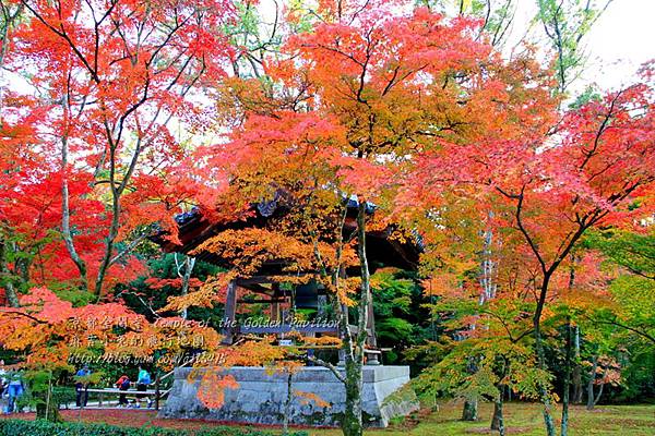 06-京都 金閣寺  123