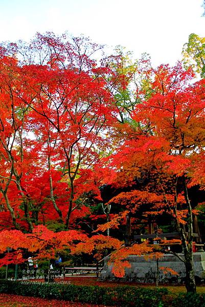 06-京都 金閣寺  124