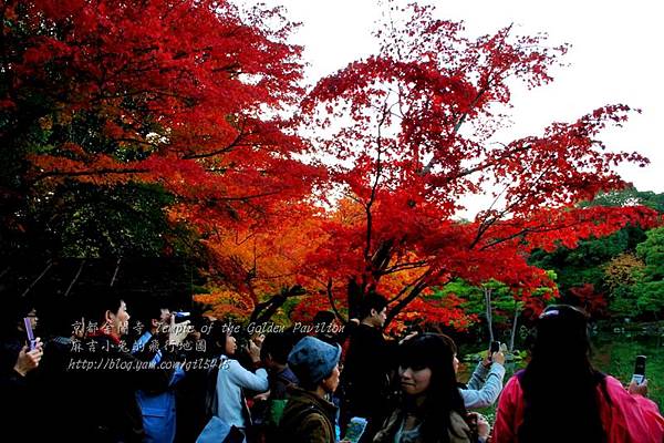 06-京都 金閣寺  158