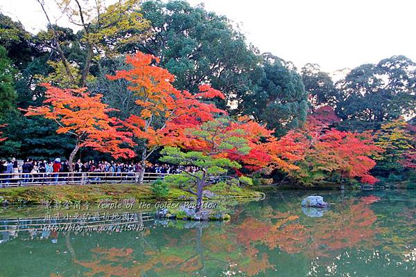 06-京都 金閣寺  181