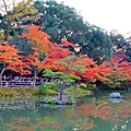 06-京都 金閣寺  181