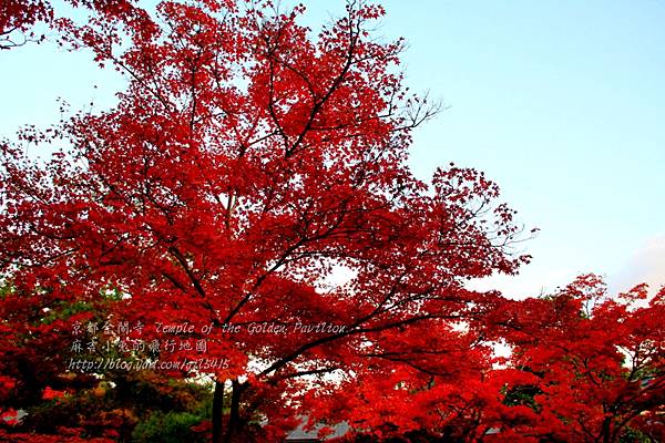 06-京都 金閣寺  200