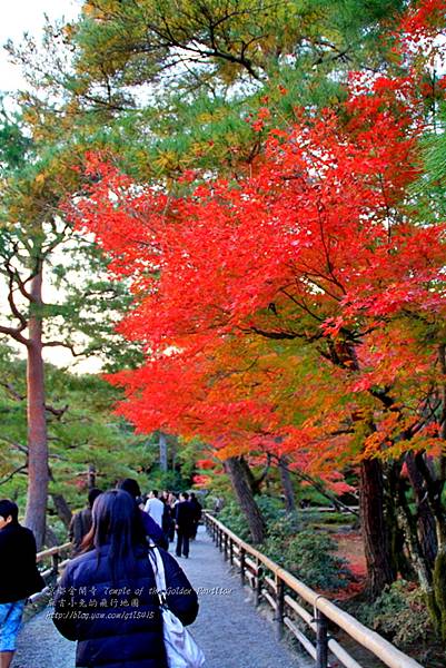 06-京都 金閣寺  202