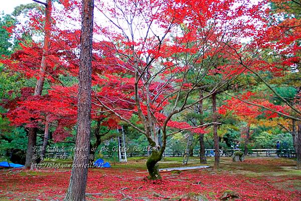 06-京都 金閣寺  205