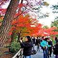 06-京都 金閣寺  206