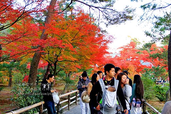 06-京都 金閣寺  207