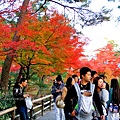 06-京都 金閣寺  207