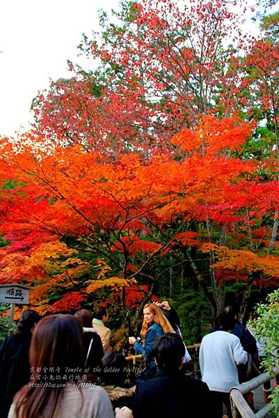 06-京都 金閣寺  210