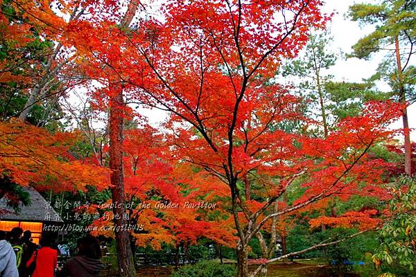 06-京都 金閣寺  214