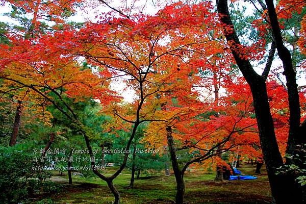 06-京都 金閣寺  222