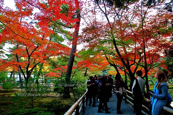 06-京都 金閣寺  223