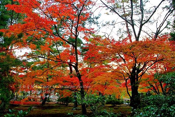 06-京都 金閣寺  226