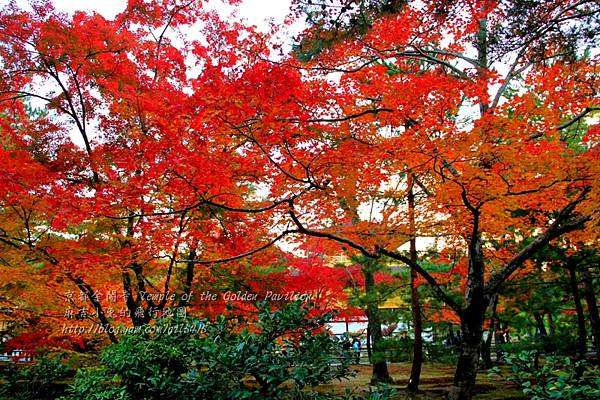 06-京都 金閣寺  240