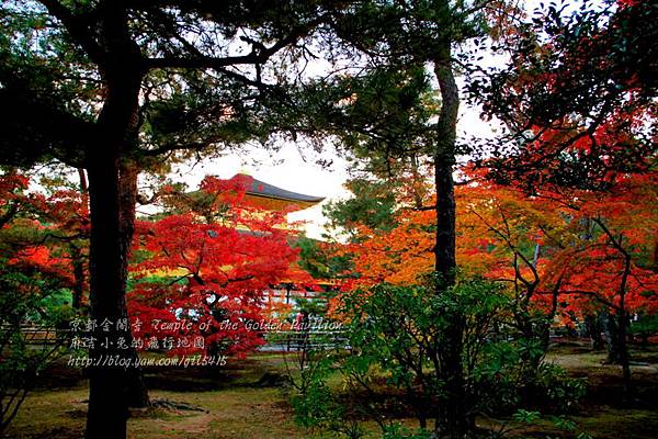 06-京都 金閣寺  250