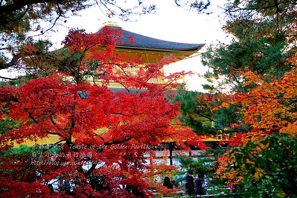 06-京都 金閣寺  251