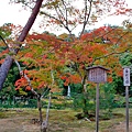 06-京都 金閣寺  276