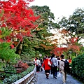 06-京都 金閣寺  282