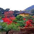 06-京都 金閣寺  291