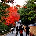 06-京都 金閣寺  309