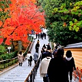 06-京都 金閣寺  311