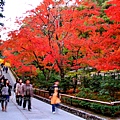 06-京都 金閣寺  333