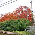 1122 京都祇園-0005