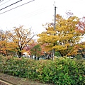 1122 京都祇園-0006