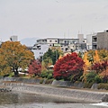 1122 京都祇園-0151