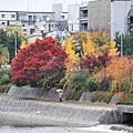 1122 京都祇園-0156