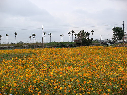 s02.jpg