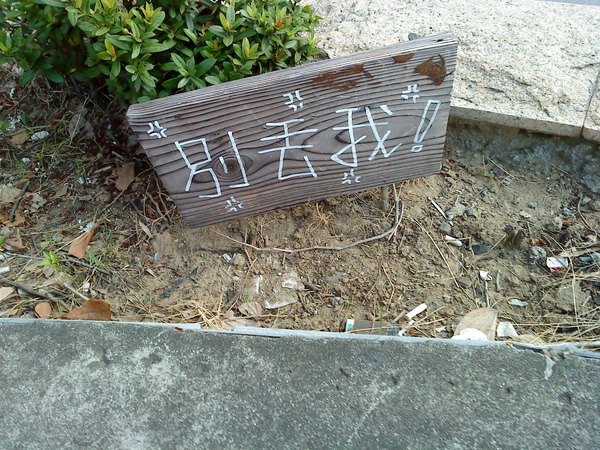DSC00784.JPG