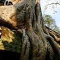 DSC07278.JPG
