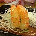 IMG_1441.jpg