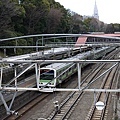 P1010817.jpg